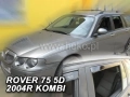 27204.webp