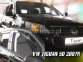 31172.webp